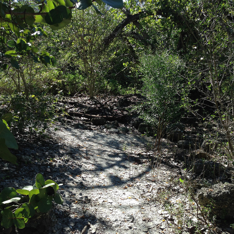 De Soto National Memorial