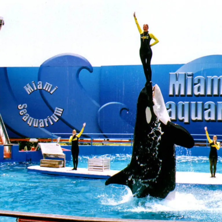 Miami Seaquarium