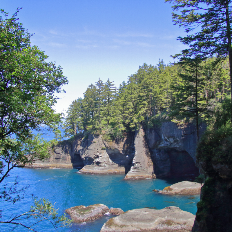 Point Washington State Forest