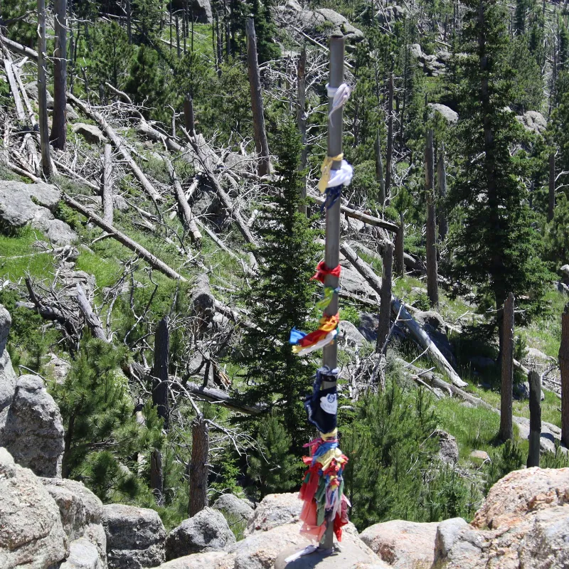 Custer State Park