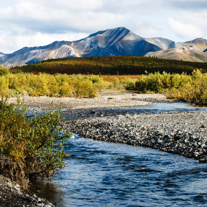 Denali National Park