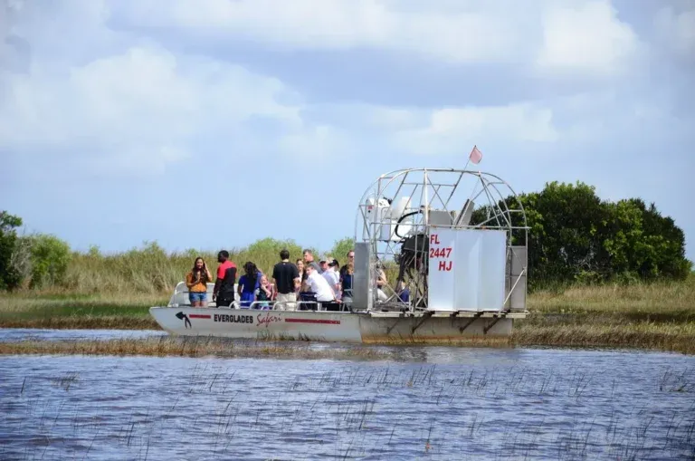  ECO-TOURS IN FLORIDA