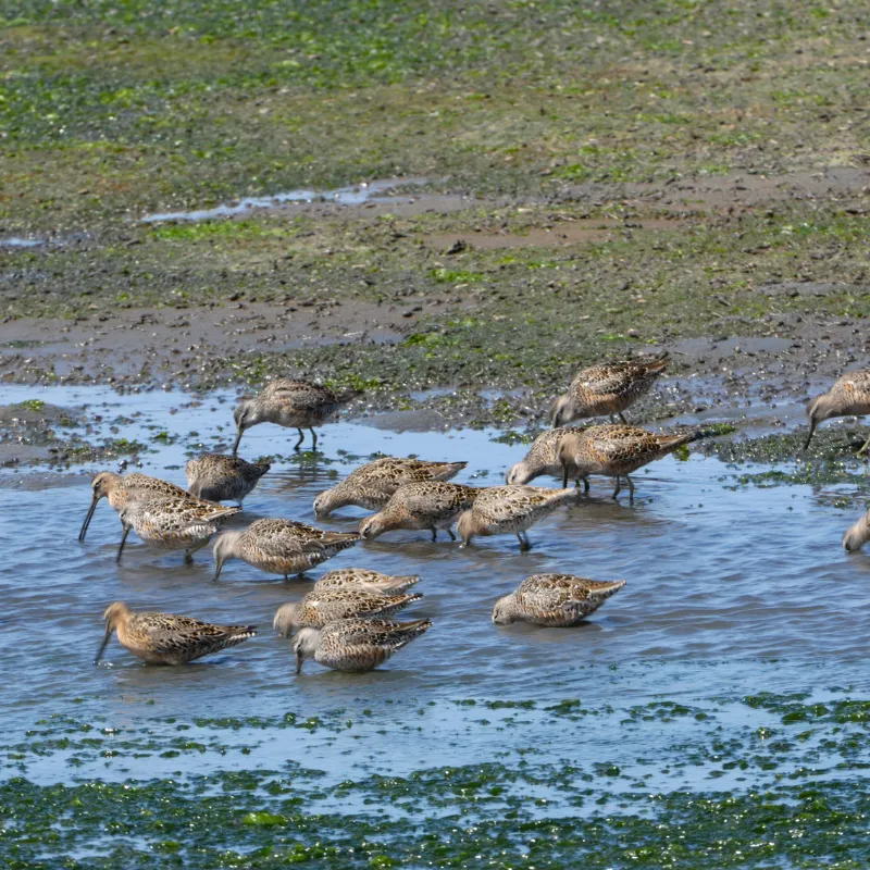 Budget Wildlife Watching