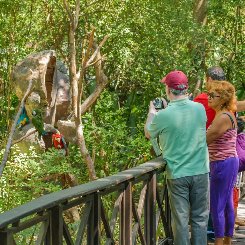 Ethical Wildlife Watching