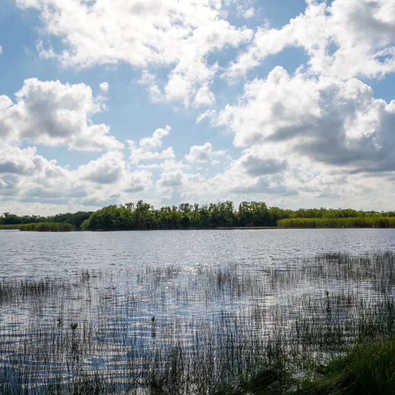 Everglades National Park