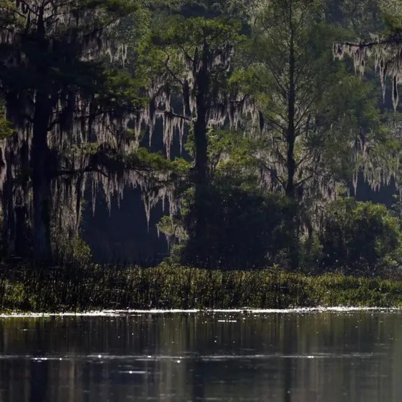 Wakulla Springs State Park