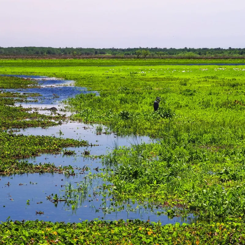 Florida State Parks