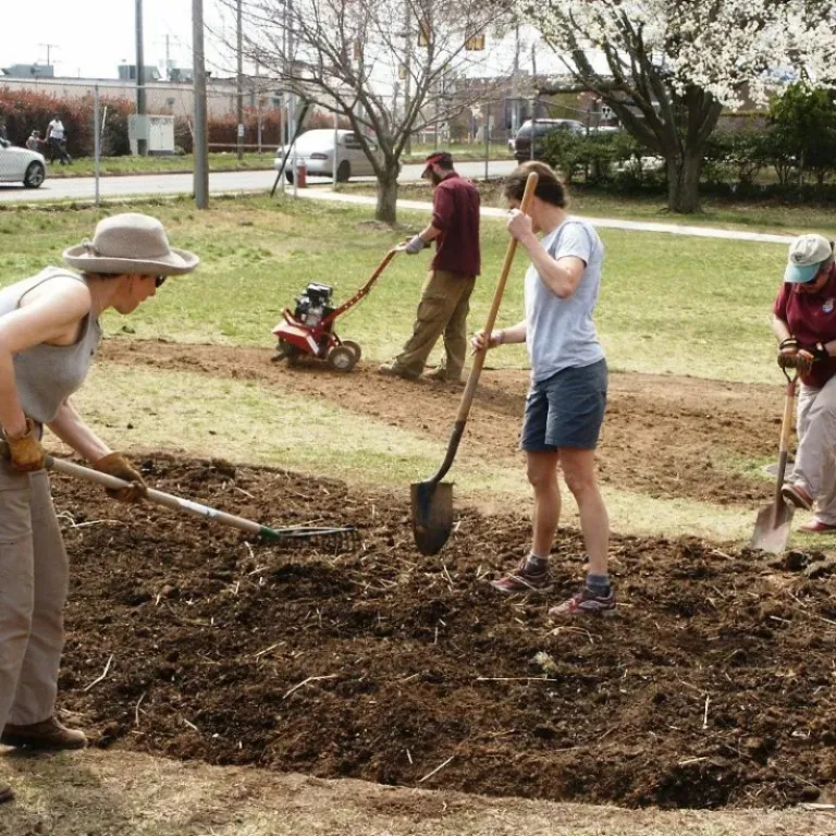 Green Living Activities For Families19