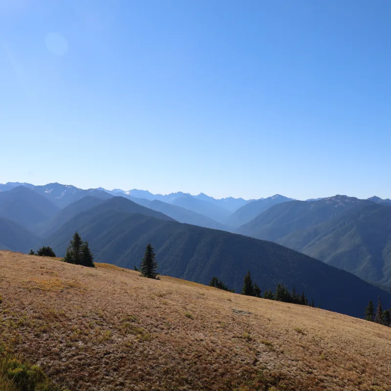 Olympic National Park