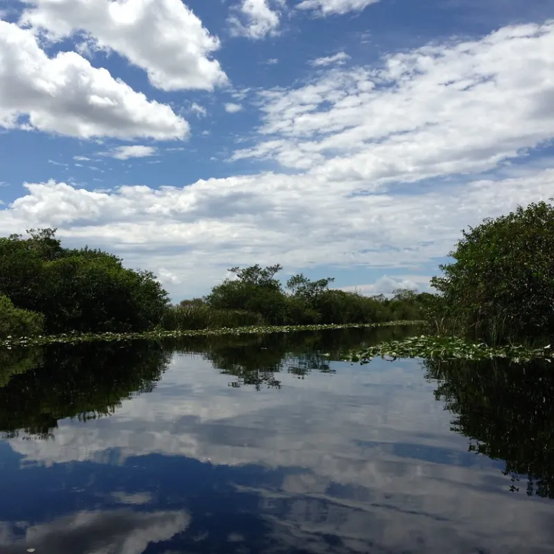 Everglades National Park, Florida