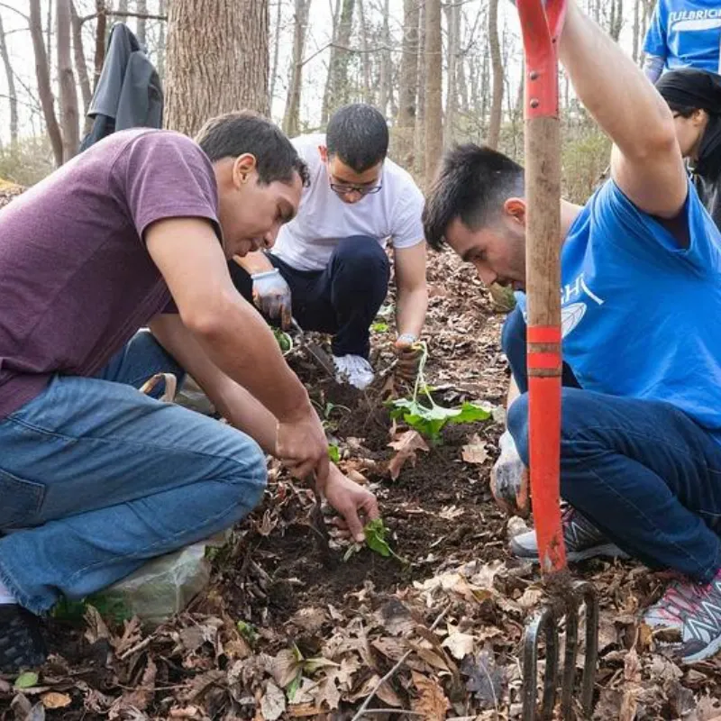 Wildlife Conservation Volunteering