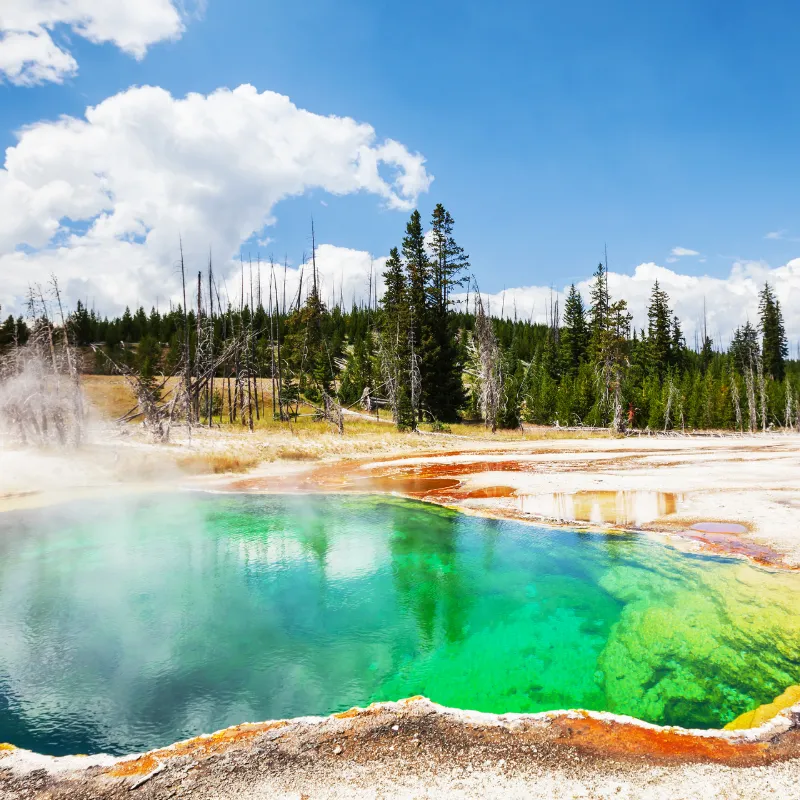 Yellowstone National Park