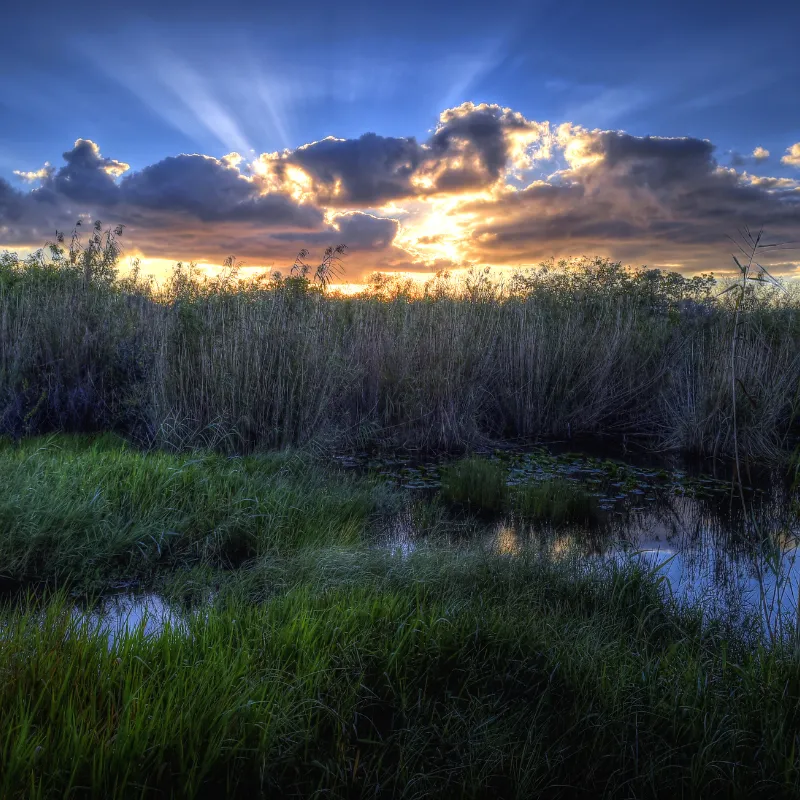 Everglades National Park