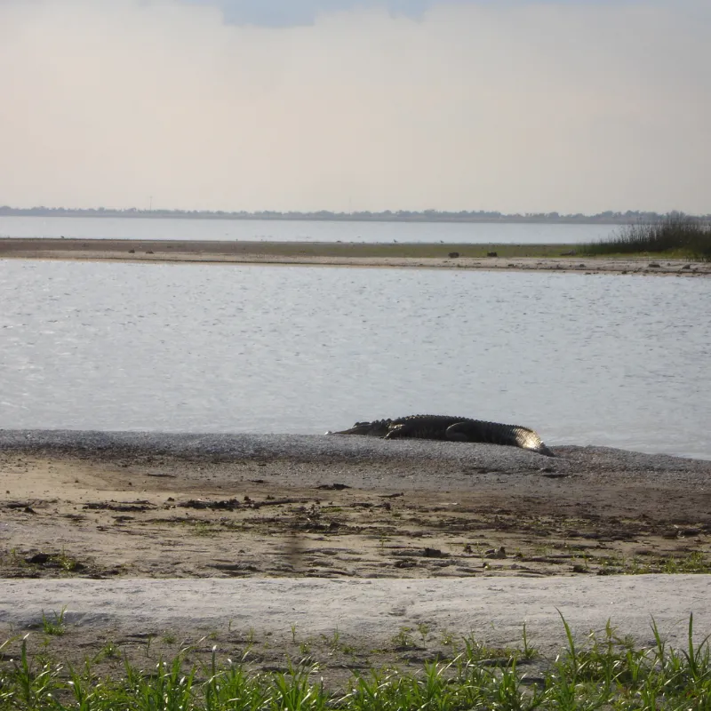 Lake Okeechobee