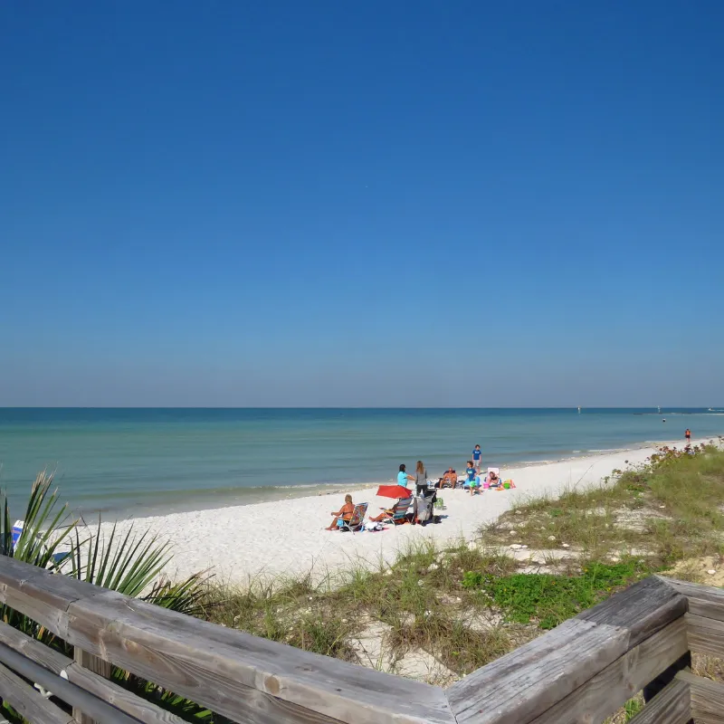 bird watching in florida