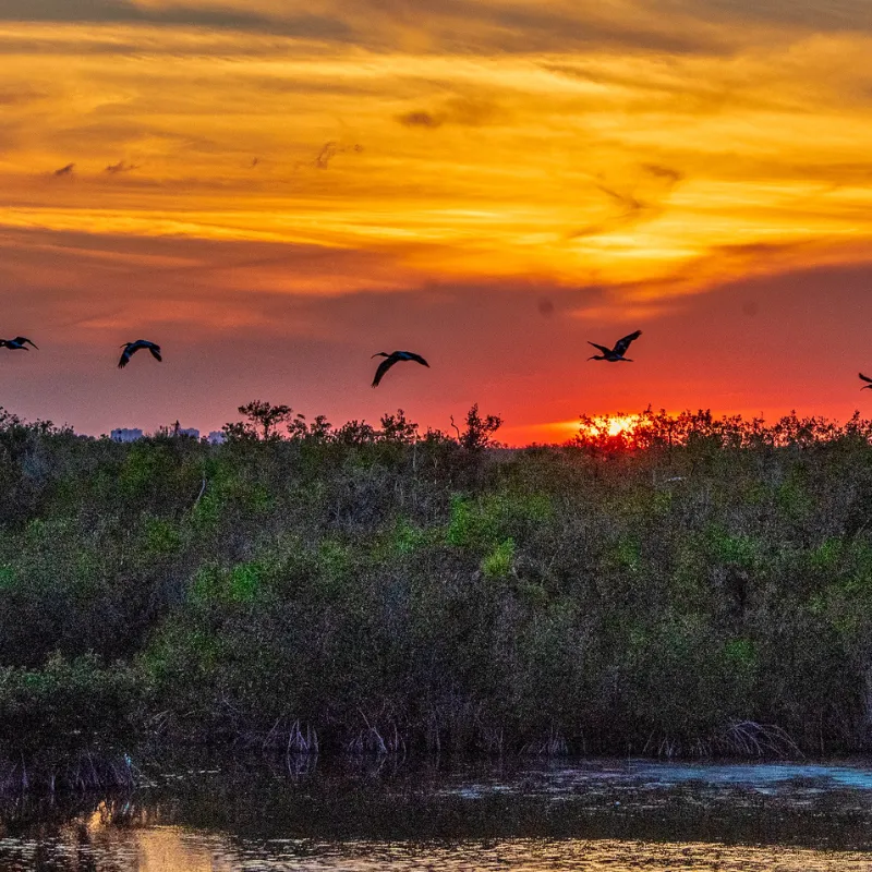 Everglades National Park