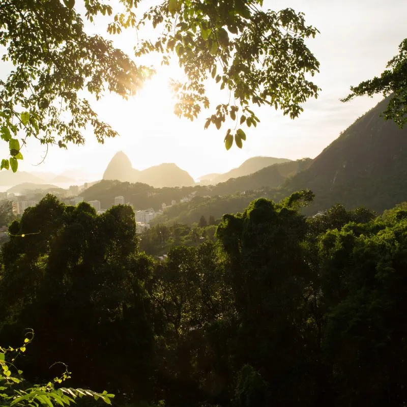 Tijuca National Park02