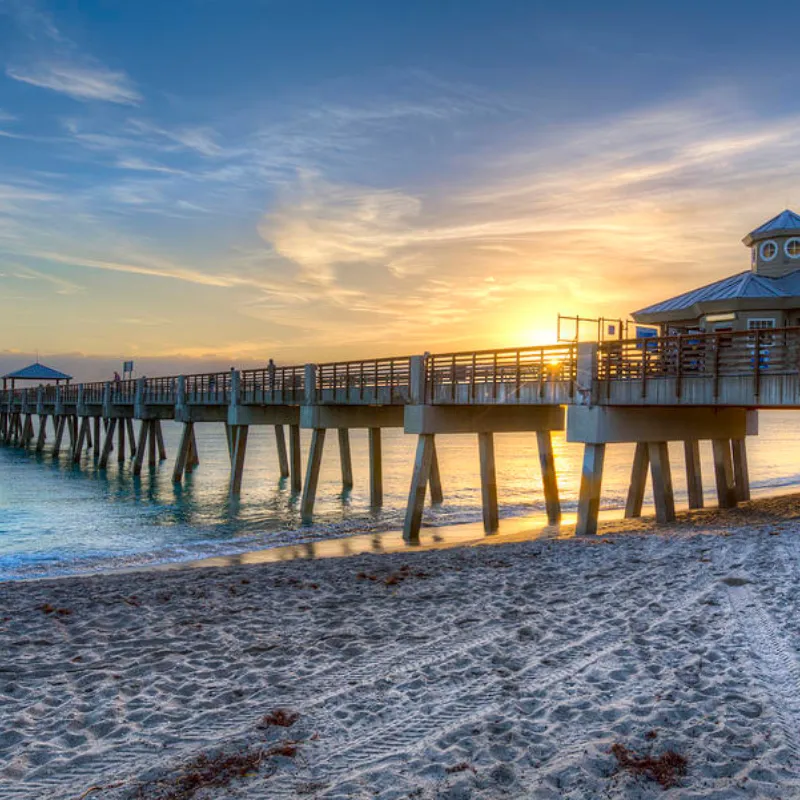 watch turtles hatch florida2