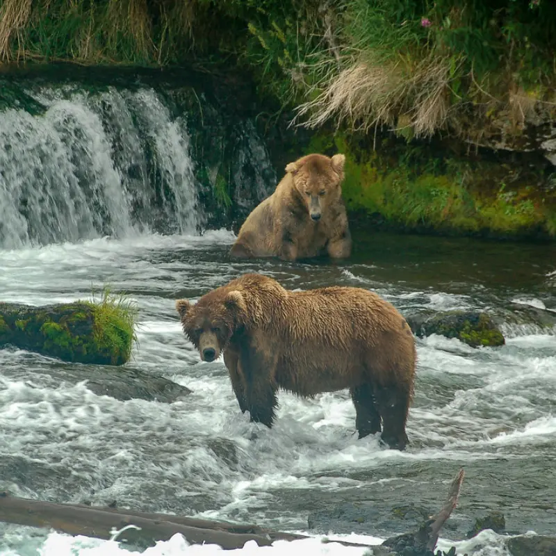 Katmai National Park, Alaska