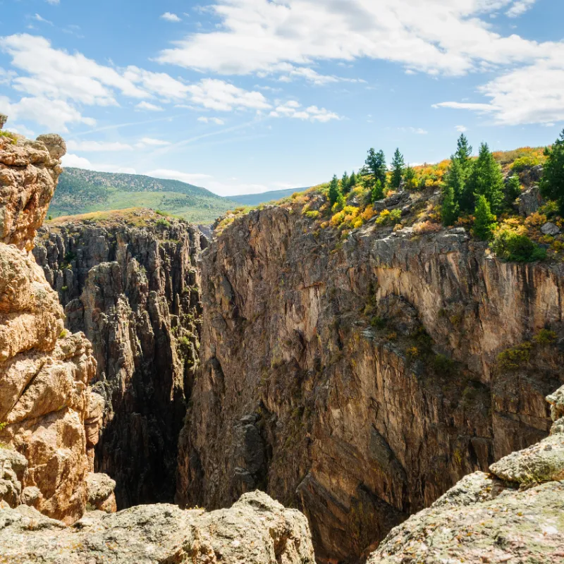 National Parks Wildlife Watching