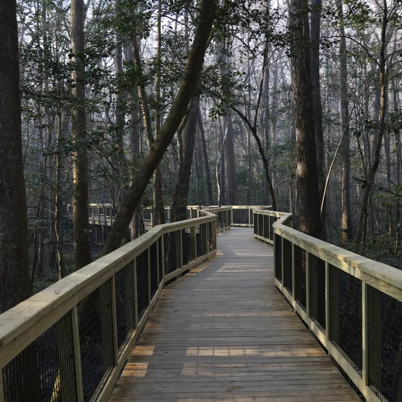 Congaree National Park, South Carolina