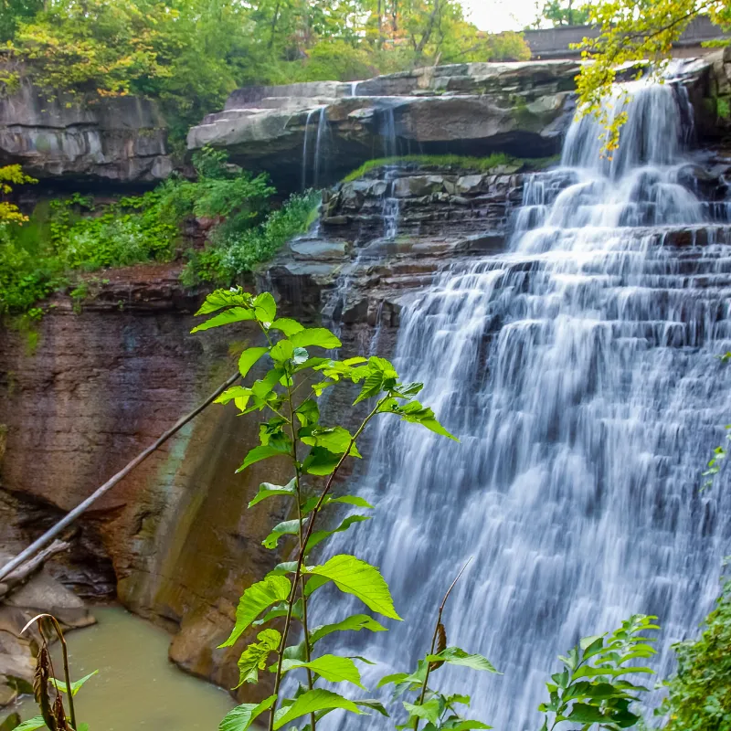 National Parks Wildlife Watching