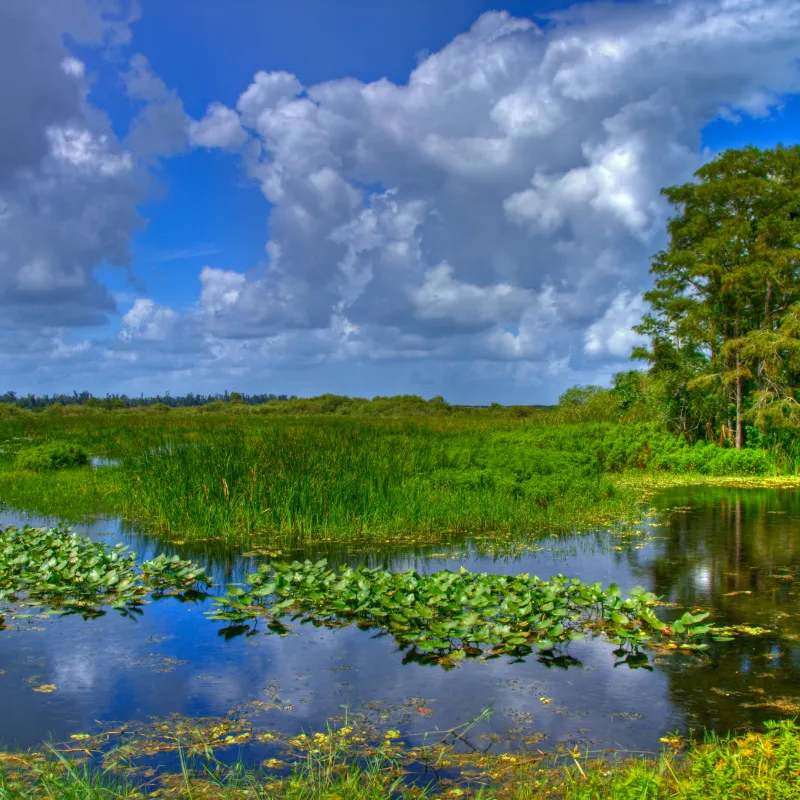 Florida Wildlife Watching Spots