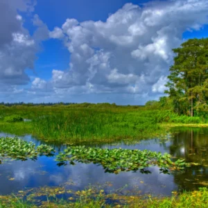 Regional Wildlife Watching USA