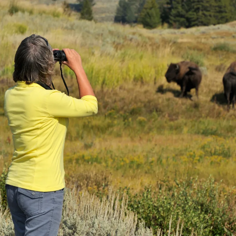 wildlife watching responsibilites