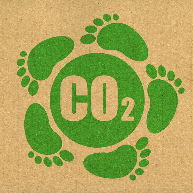 Reduce Carbon Footprint 1