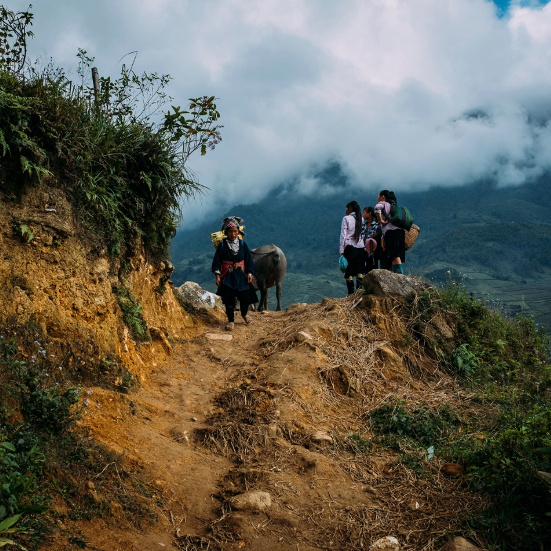 Hiking Trails In The United States