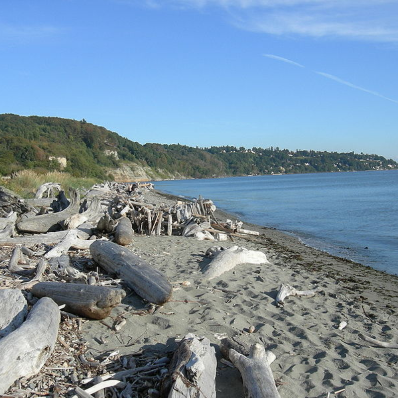 Discovery Park, Washington
