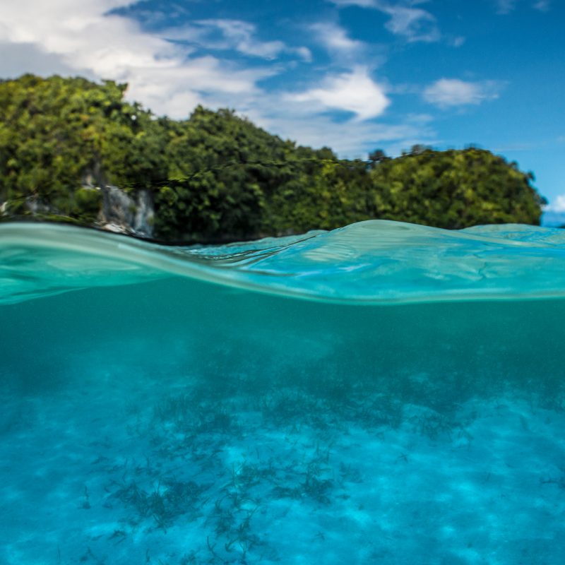 Impact Of Climate Change On Pacific Islands Tourism 1