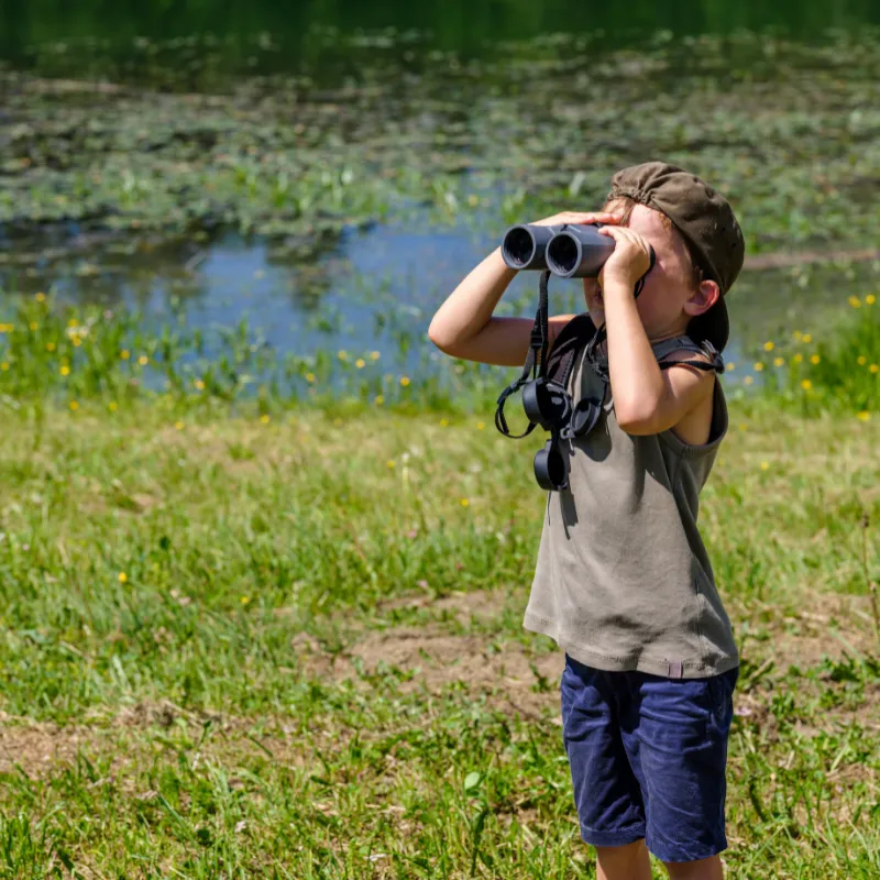 Bird Watching