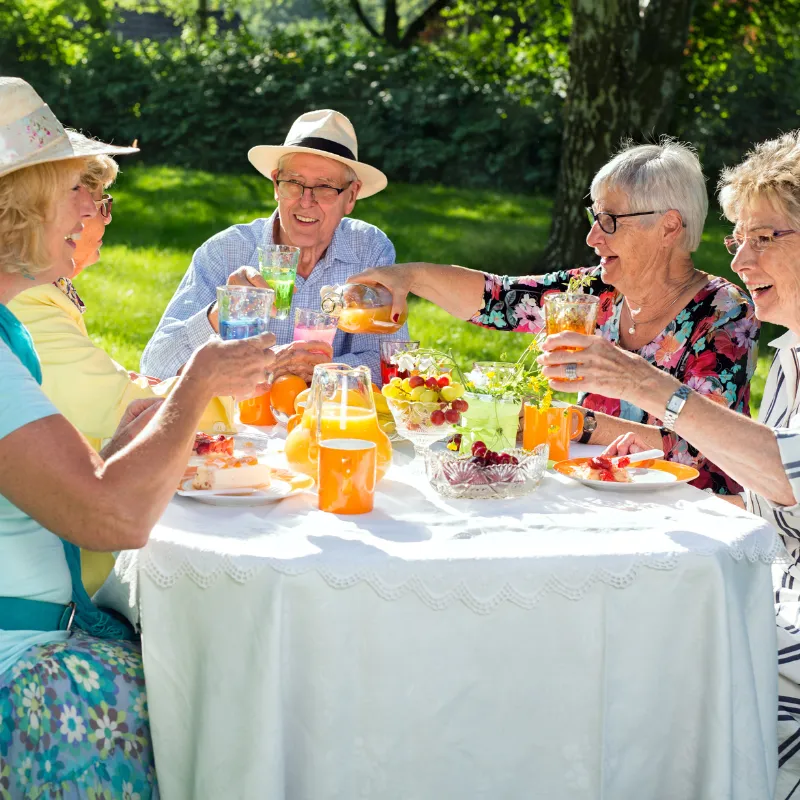 Picnicking