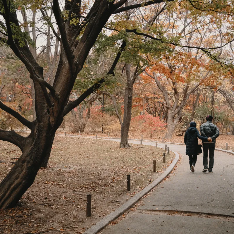 Mindful Walking 