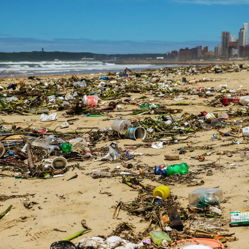 Most Polluted Beaches